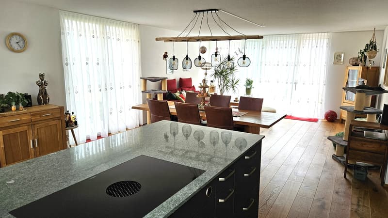 Open plan living and dining area, wooden floor, large windows, dining table, chairs, kitchen island, modern appliances, wooden cabinets, decorative items, plants