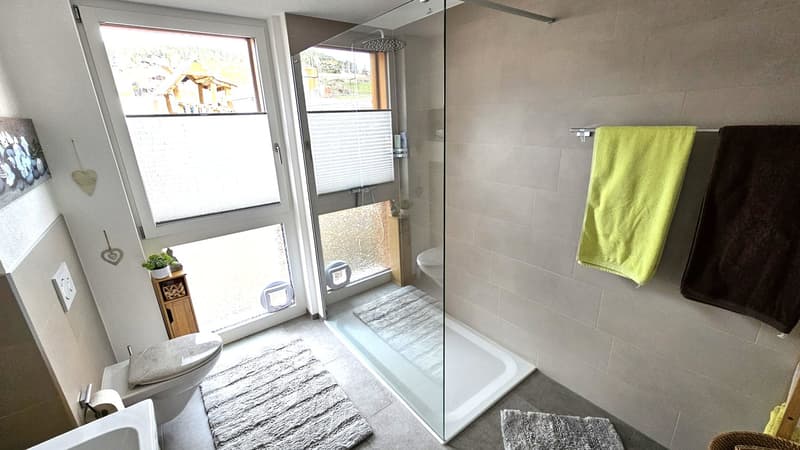 Bathroom with shower, toilet, sink, towels, and rugs