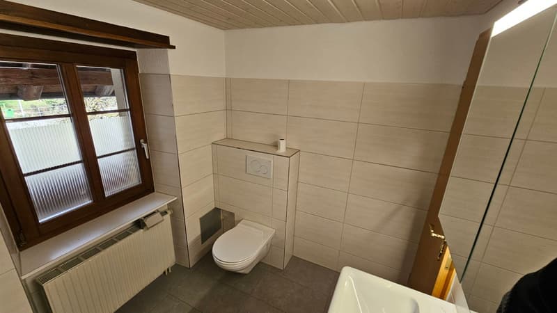 Mehrfamilienhaus mit 3 Wohneinheiten vermietet (11)