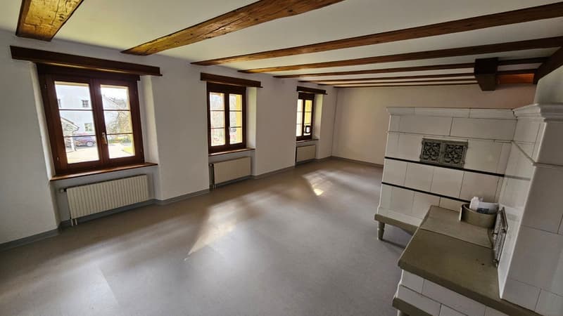 Mehrfamilienhaus mit 3 Wohneinheiten vermietet (8)