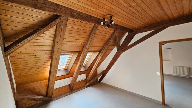 Mehrfamilienhaus mit 3 Wohneinheiten vermietet (15)