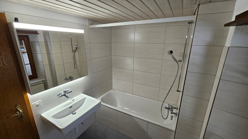 Mehrfamilienhaus mit 3 Wohneinheiten vermietet (10)