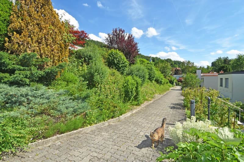 Stadtnahes und gemütliches Familienhaus (15)