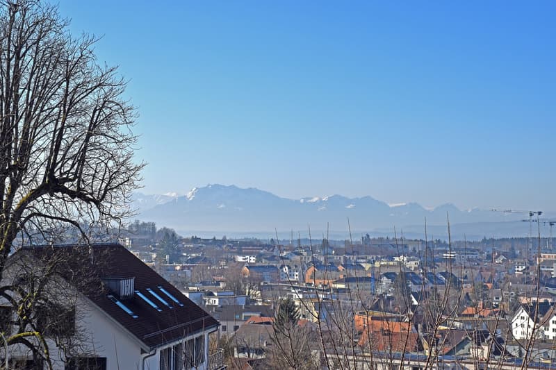 Steinacherstrasse 2, 8910 Affoltern am Albis