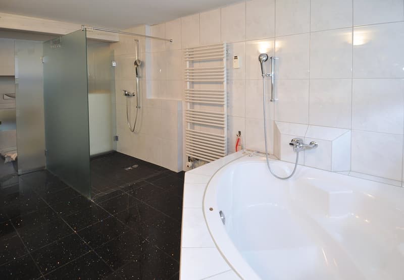 Terrassenwohnung mit viel Platz in idyllischer Umgebung (5)