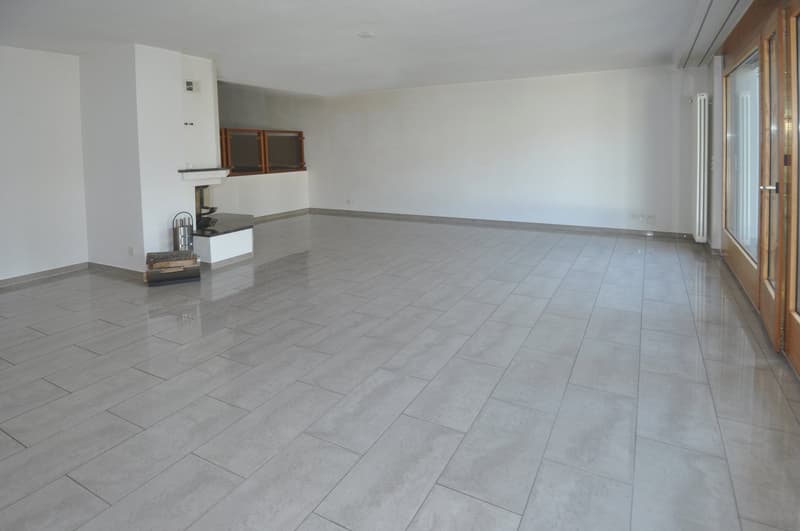 Terrassenwohnung mit viel Platz in idyllischer Umgebung (3)