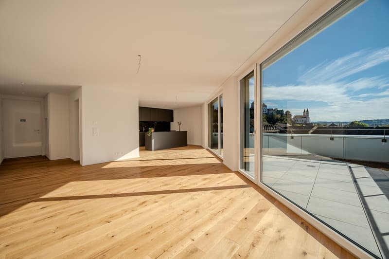 Ein Panorama zum Verlieben – Neubau-ATTIKA in Aarburg (1)