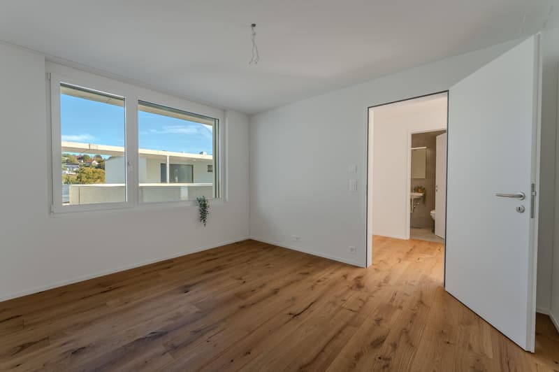 Ein Panorama zum Verlieben – Neubau-ATTIKA in Aarburg (7)