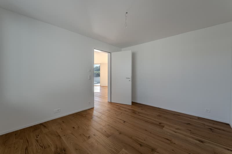 Ein Panorama zum Verlieben – Neubau-ATTIKA in Aarburg (8)
