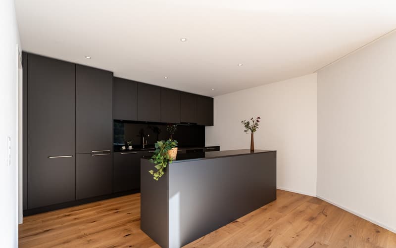 Ein Panorama zum Verlieben – Neubau-ATTIKA in Aarburg (2)