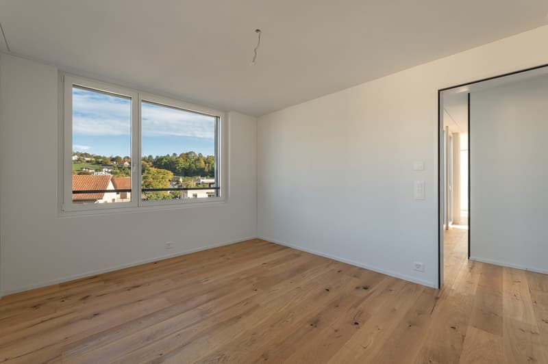 Attikatraum in Aarburg – Wo Aussicht auf Lebensqualität trifft (7)