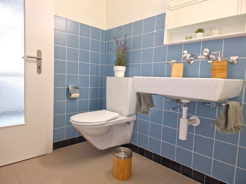 1360.102.WC