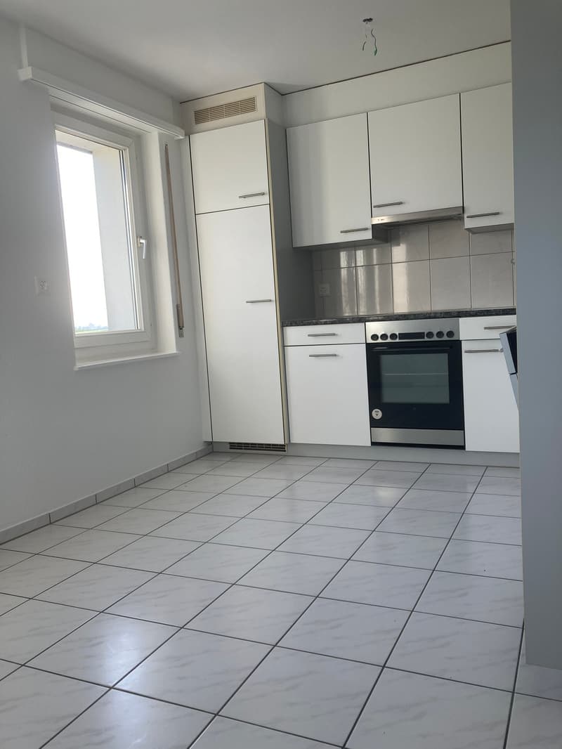 Grosszügige, helle, teilsanierte 4,5-Zimmerwohnung (11)