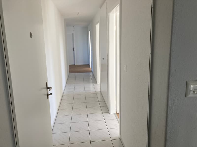 Grosszügige, helle, teilsanierte 4,5-Zimmerwohnung (9)