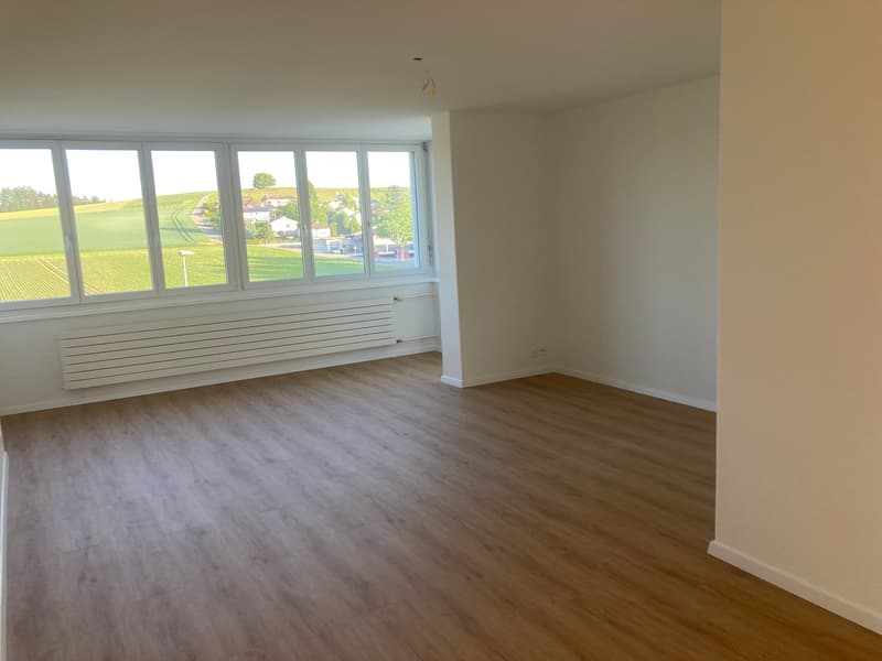 Grosszügige, helle, teilsanierte 4,5-Zimmerwohnung (25)