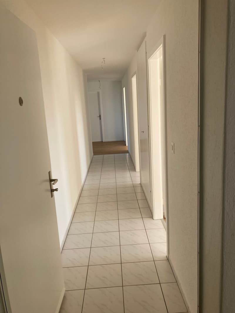 Grosszügige, helle, teilsanierte 4,5-Zimmerwohnung (19)