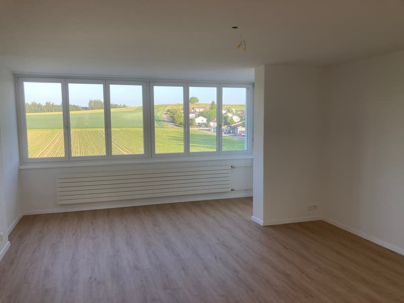Grosszügige, helle, teilsanierte 4,5-Zimmerwohnung (1)
