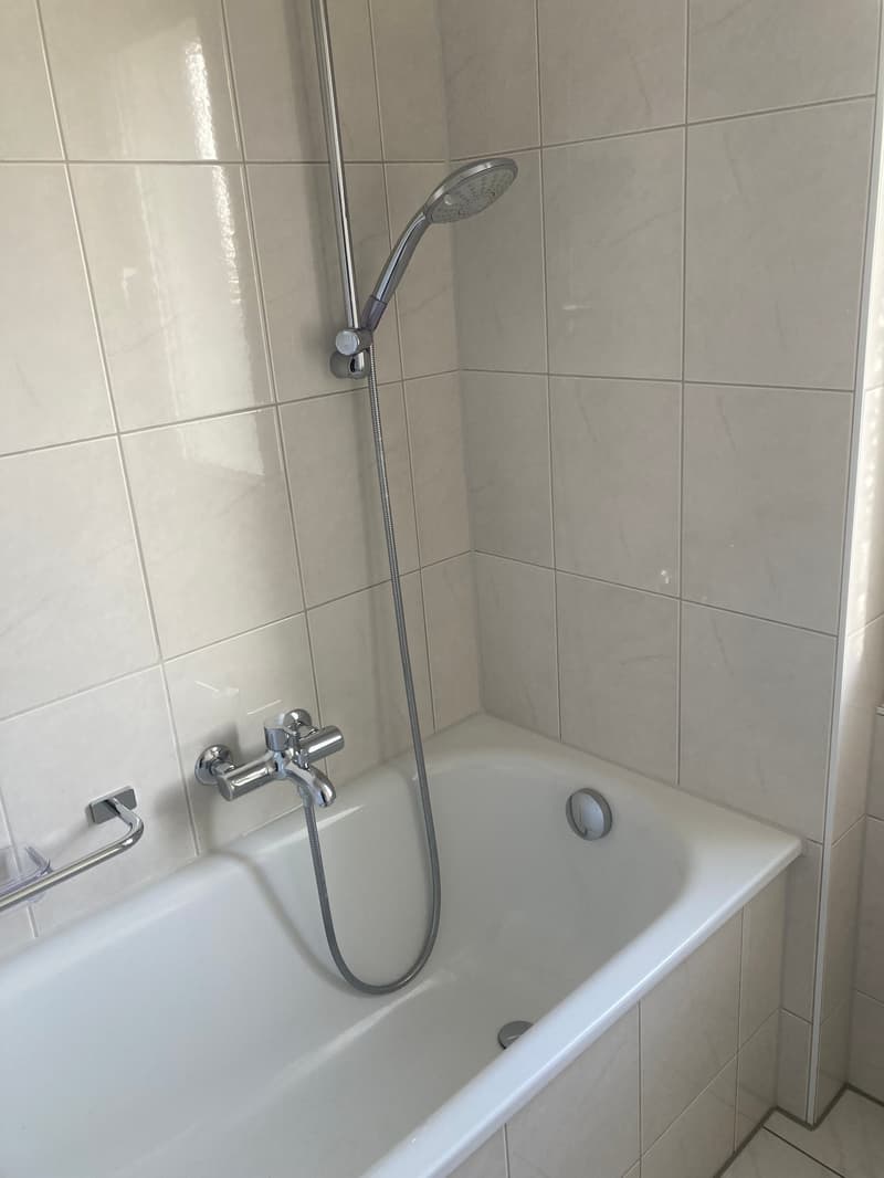 Grosszügige, helle, teilsanierte 4,5-Zimmerwohnung (21)