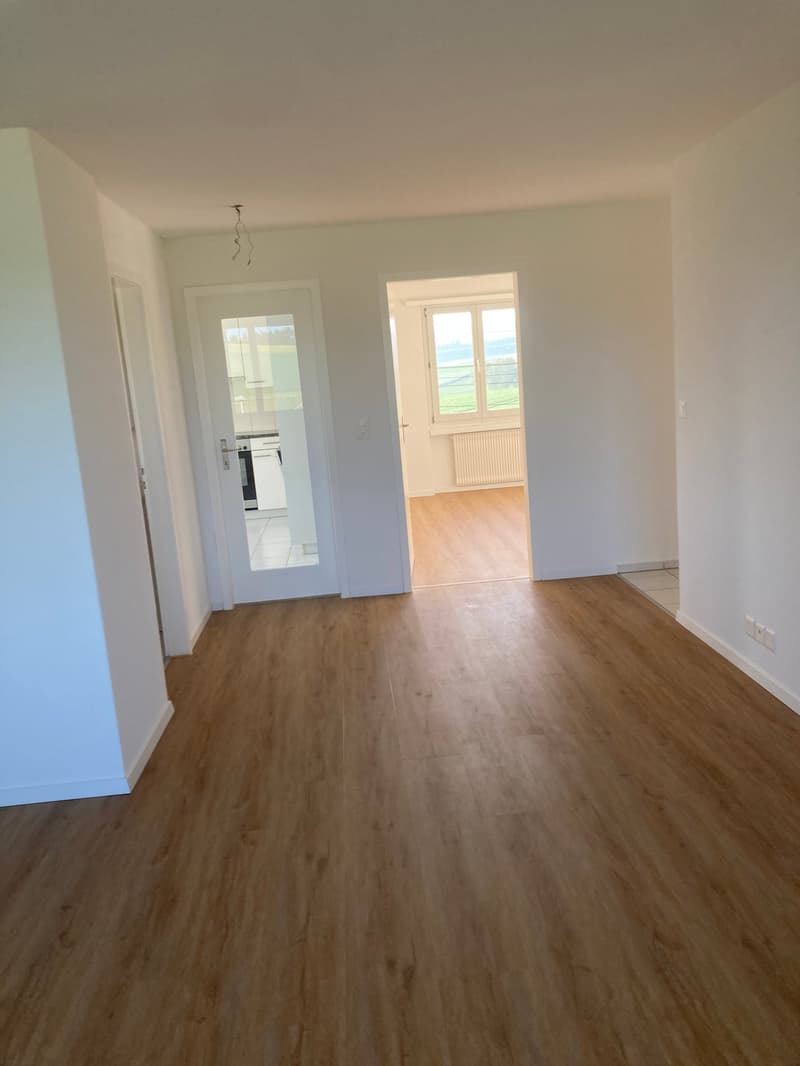 Grosszügige, helle, teilsanierte 4,5-Zimmerwohnung (18)