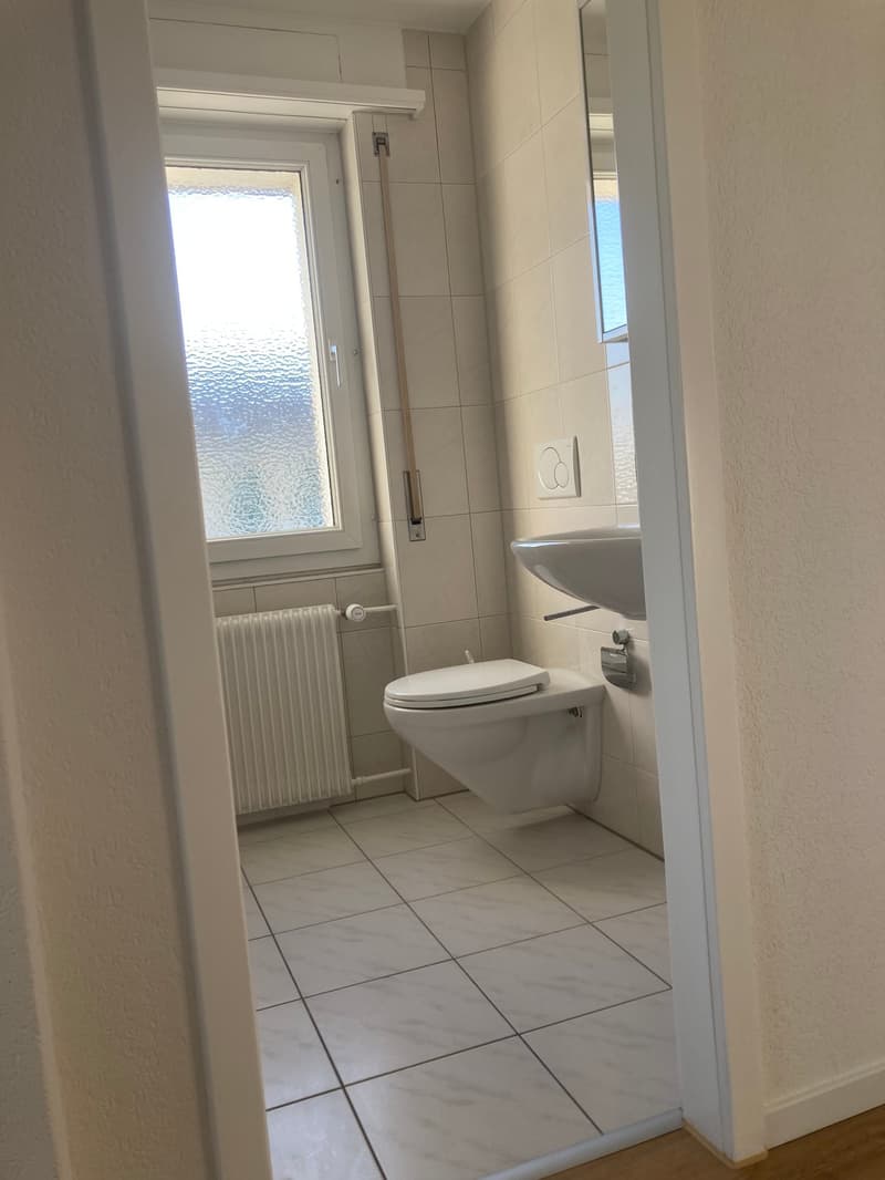 Grosszügige, helle, teilsanierte 4,5-Zimmerwohnung (20)