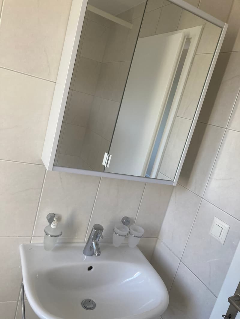 Grosszügige, helle, teilsanierte 4,5-Zimmerwohnung (23)