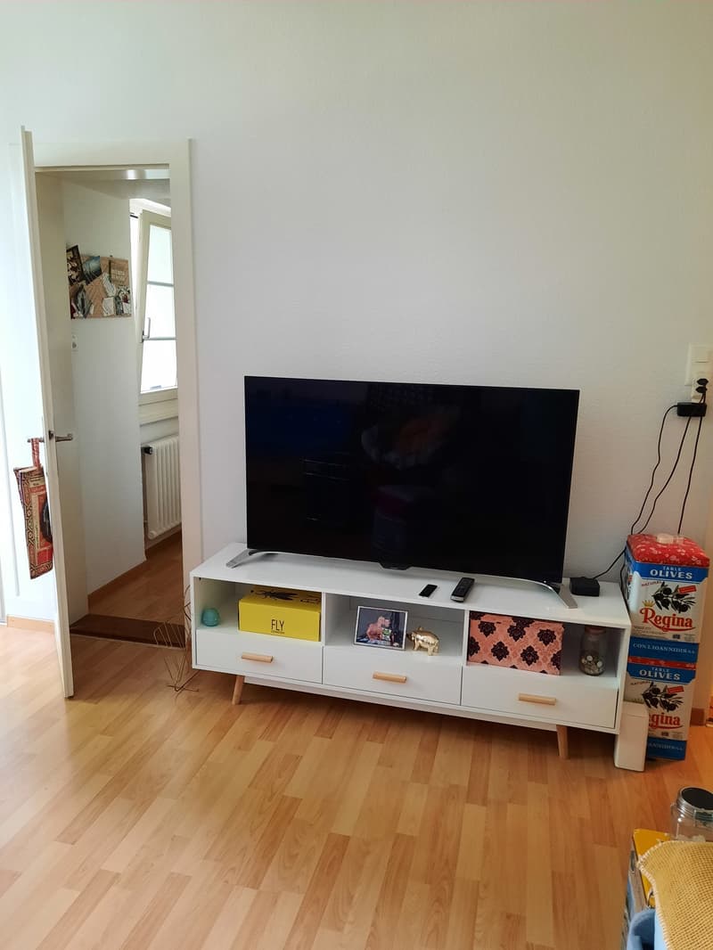 1-Zimmerwohnung (4)