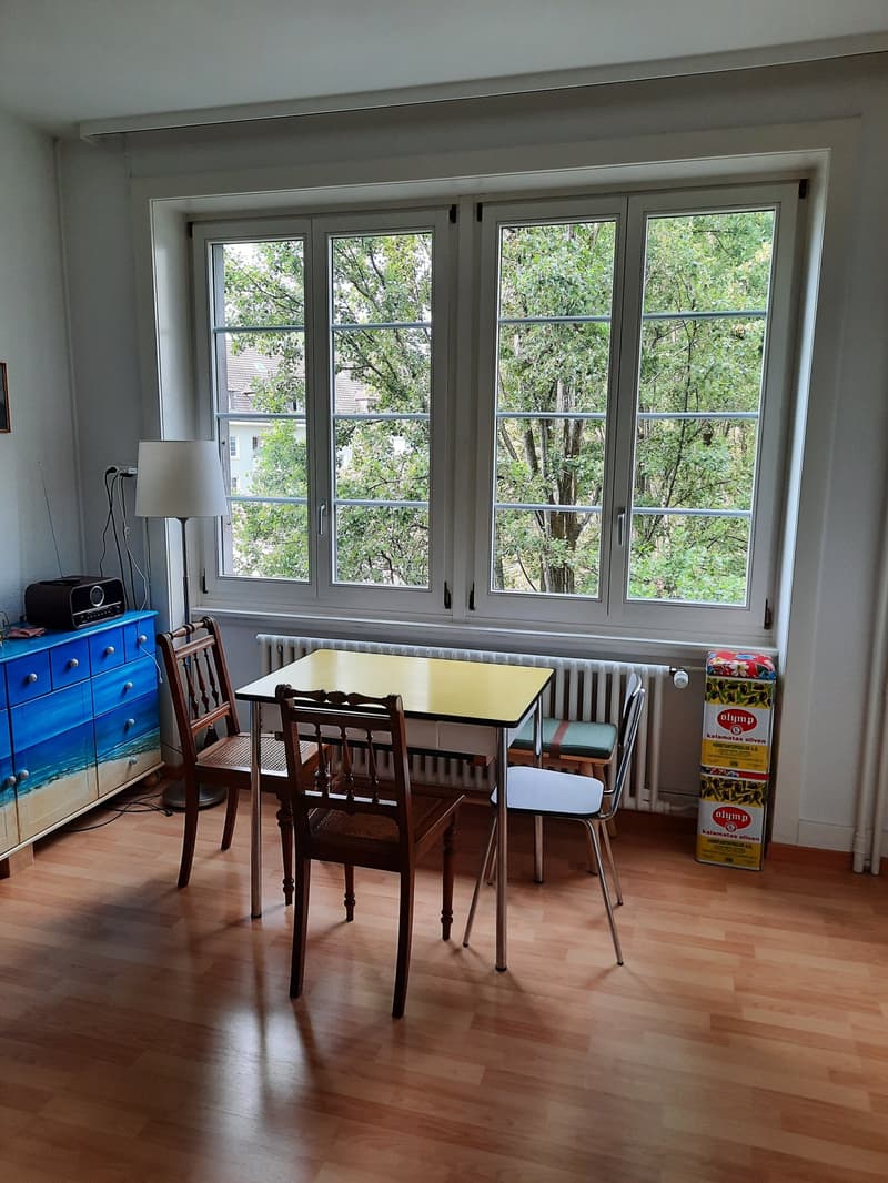 1-Zimmerwohnung (5)