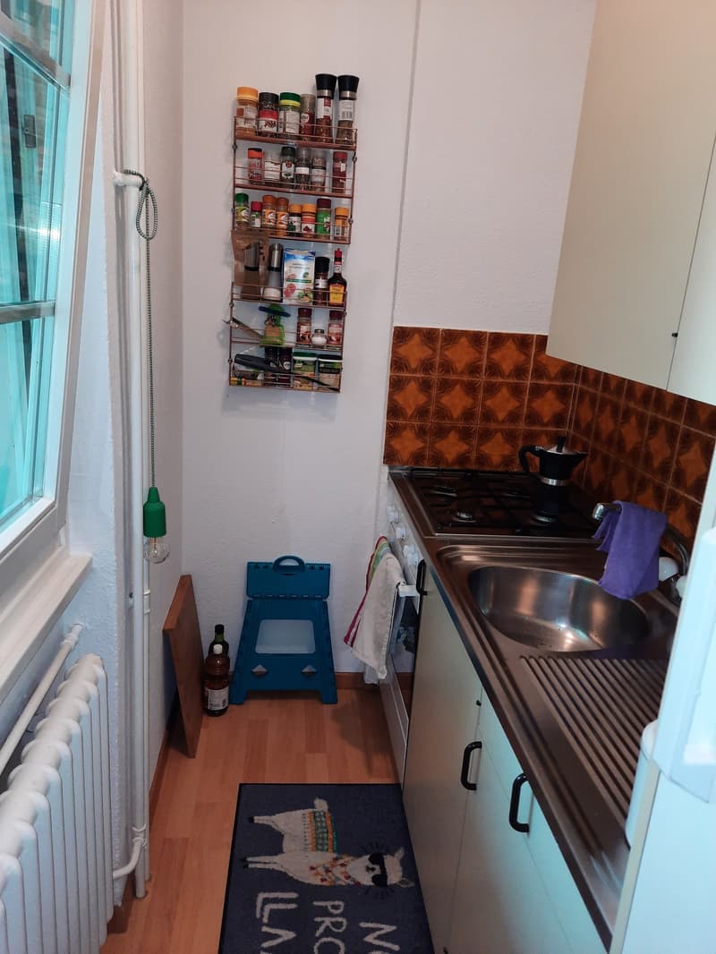 1-Zimmerwohnung (8)