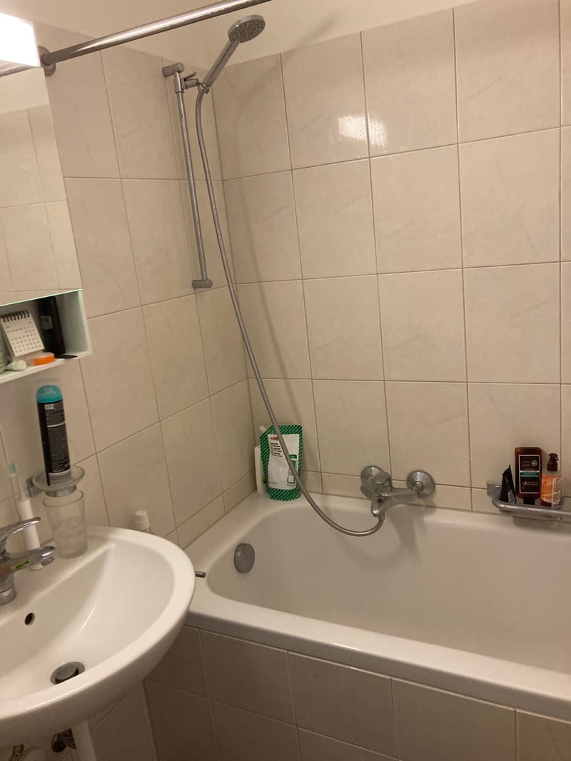 1-Zimmerwohnung (10)
