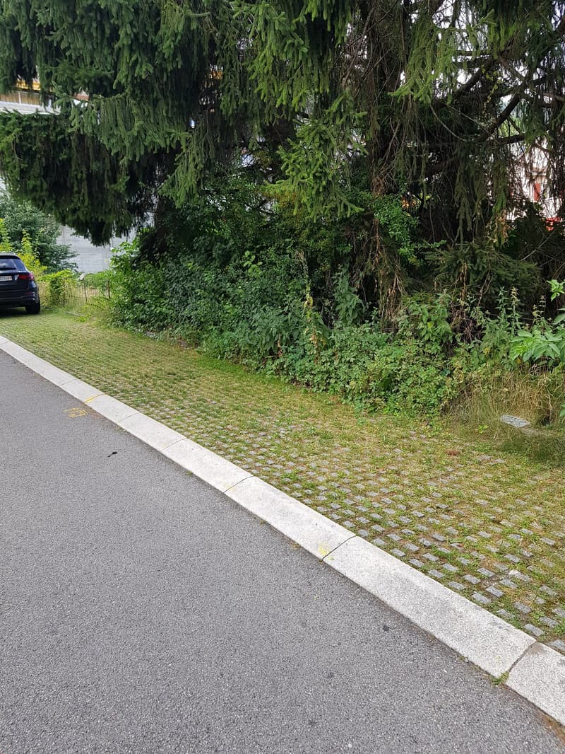 A small garden with grass and cobblestone pavement, a car parked on the street, a building in the background.
