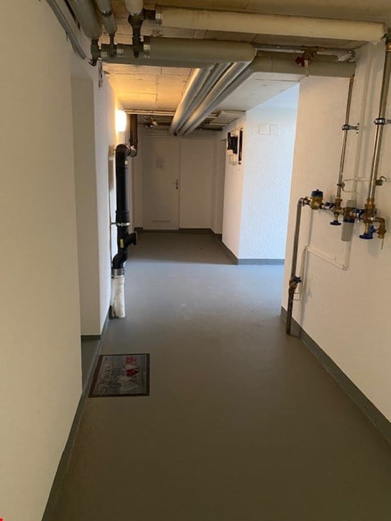 Empty corridor with white walls, gray floor, pipes on the ceiling, pipes on the wall, a small rug, and a door.