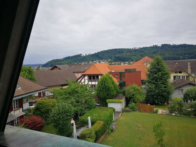 Aerial view of a neighborhood with houses, trees, and a grassy lawn. The houses have red roofs and are surrounded by greenery. In the distance, there is a mountain with trees.