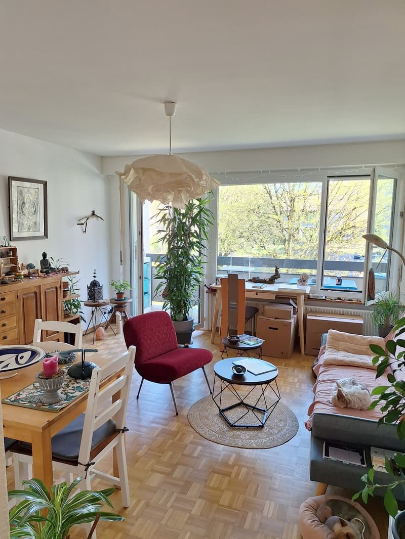 Ampio e moderno appartamento di 2,5 locali con balcone (2)
