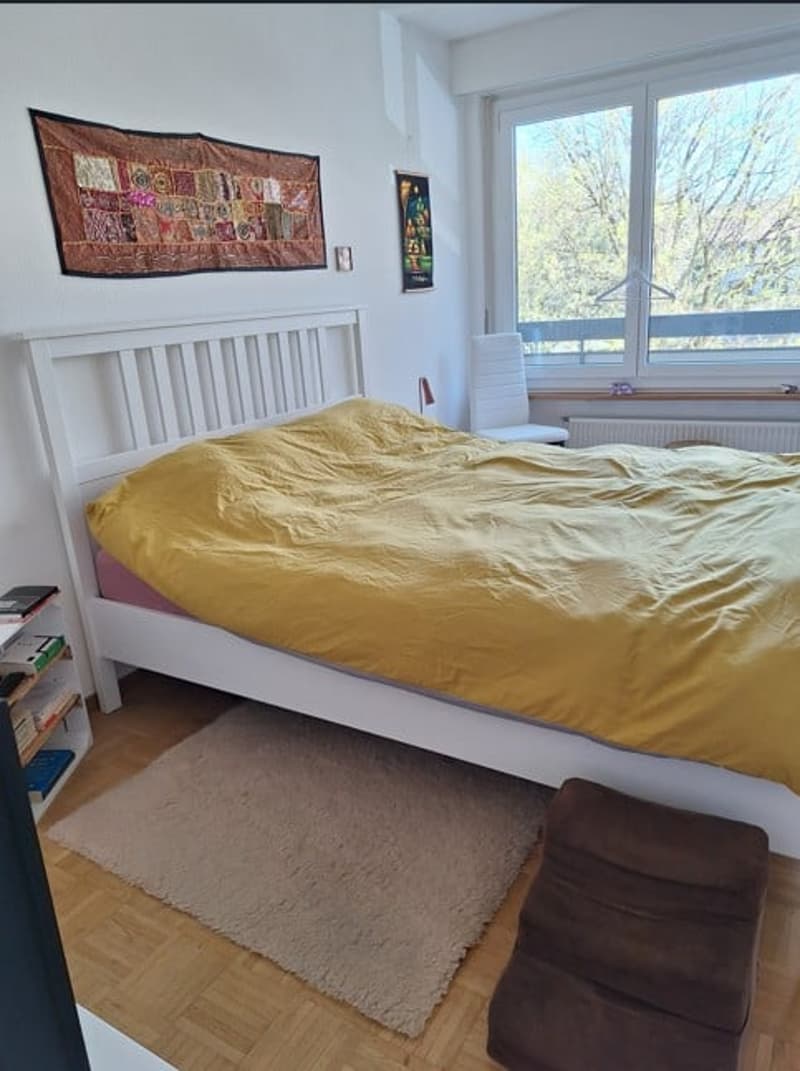 Ampio e moderno appartamento di 2,5 locali con balcone (5)