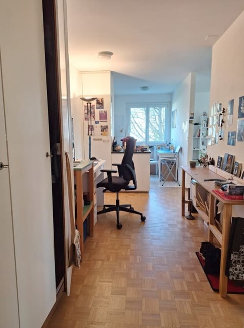 Ampio e moderno appartamento di 2,5 locali con balcone (4)