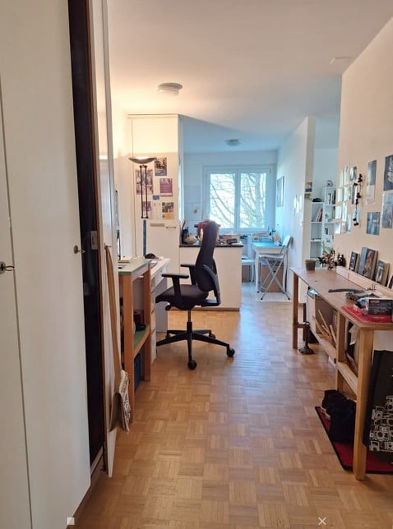 Grosszügige und moderne 2.5-Zimmerwohnung mit Balkon (4)
