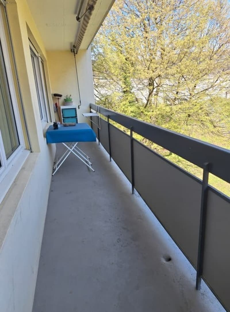Ampio e moderno appartamento di 2,5 locali con balcone (1)