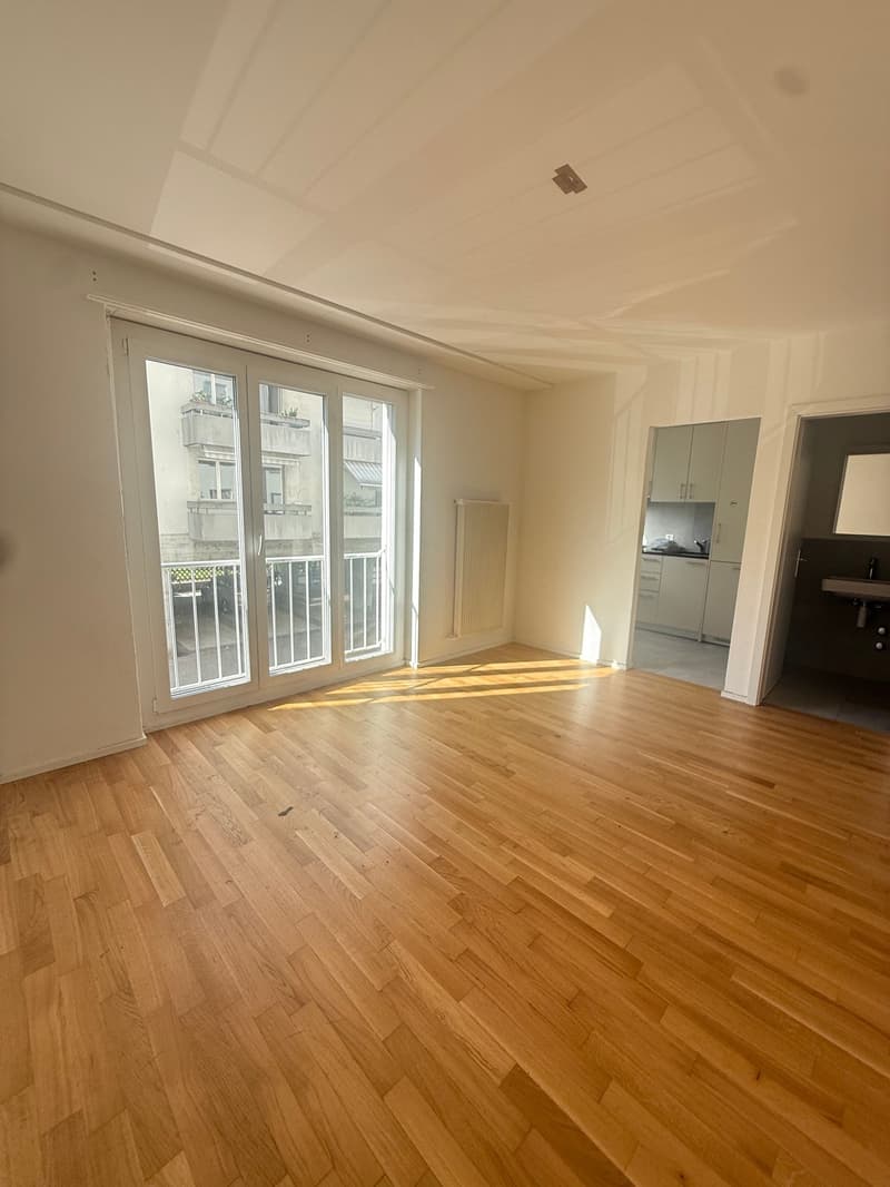 Moderne und Helle 1.5-Zimmerwohnung in Zentrumsnähe (1)