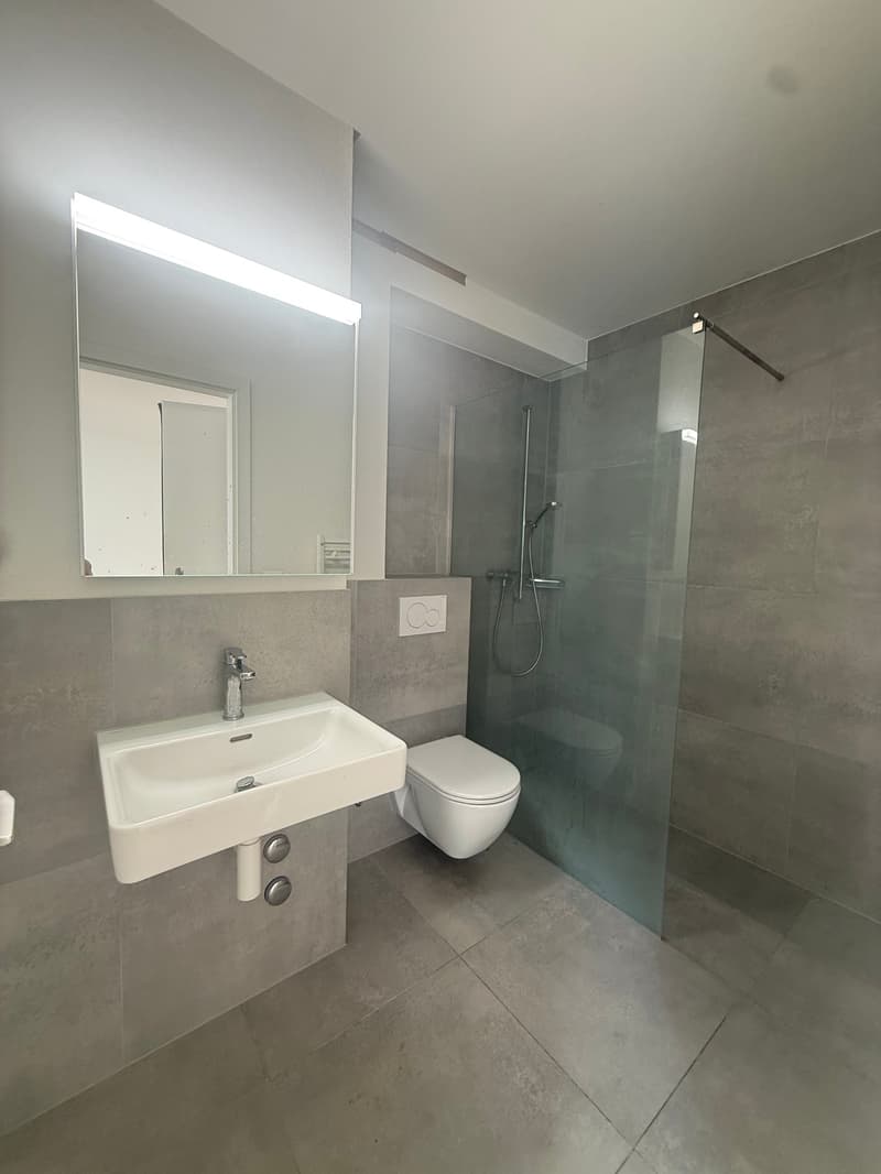 Moderne und Helle 1.5-Zimmerwohnung in Zentrumsnähe (4)