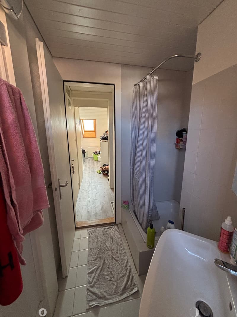 Charmante 3-Zimmer-Dachwohnung mit modernem Ausbau in Biel (4)
