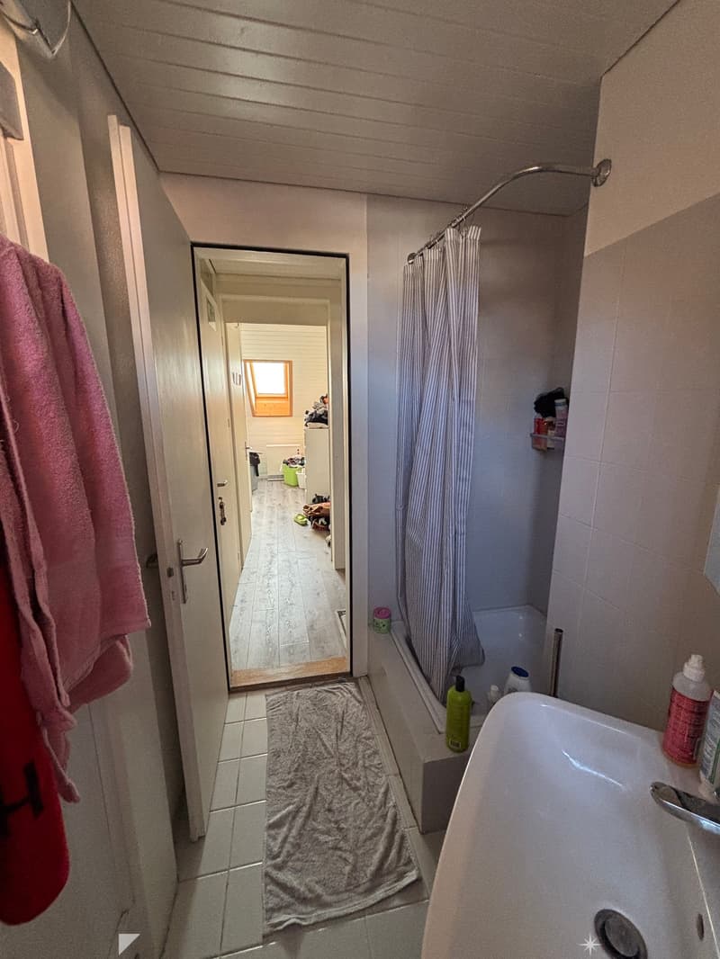 Charmante 3-Zimmer-Dachwohnung mit modernem Ausbau in Biel (4)