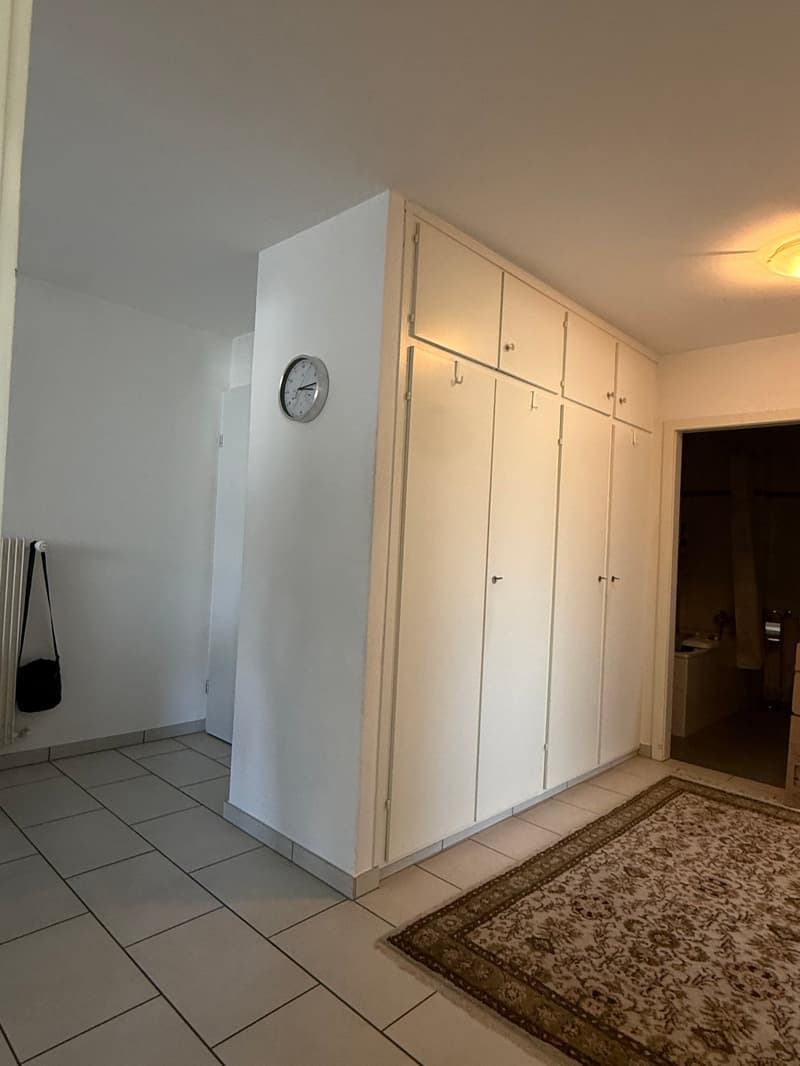 Moderne 3.5-Zimmerwohnung an attraktiver Lage zwischen Biel und Nidau (10)
