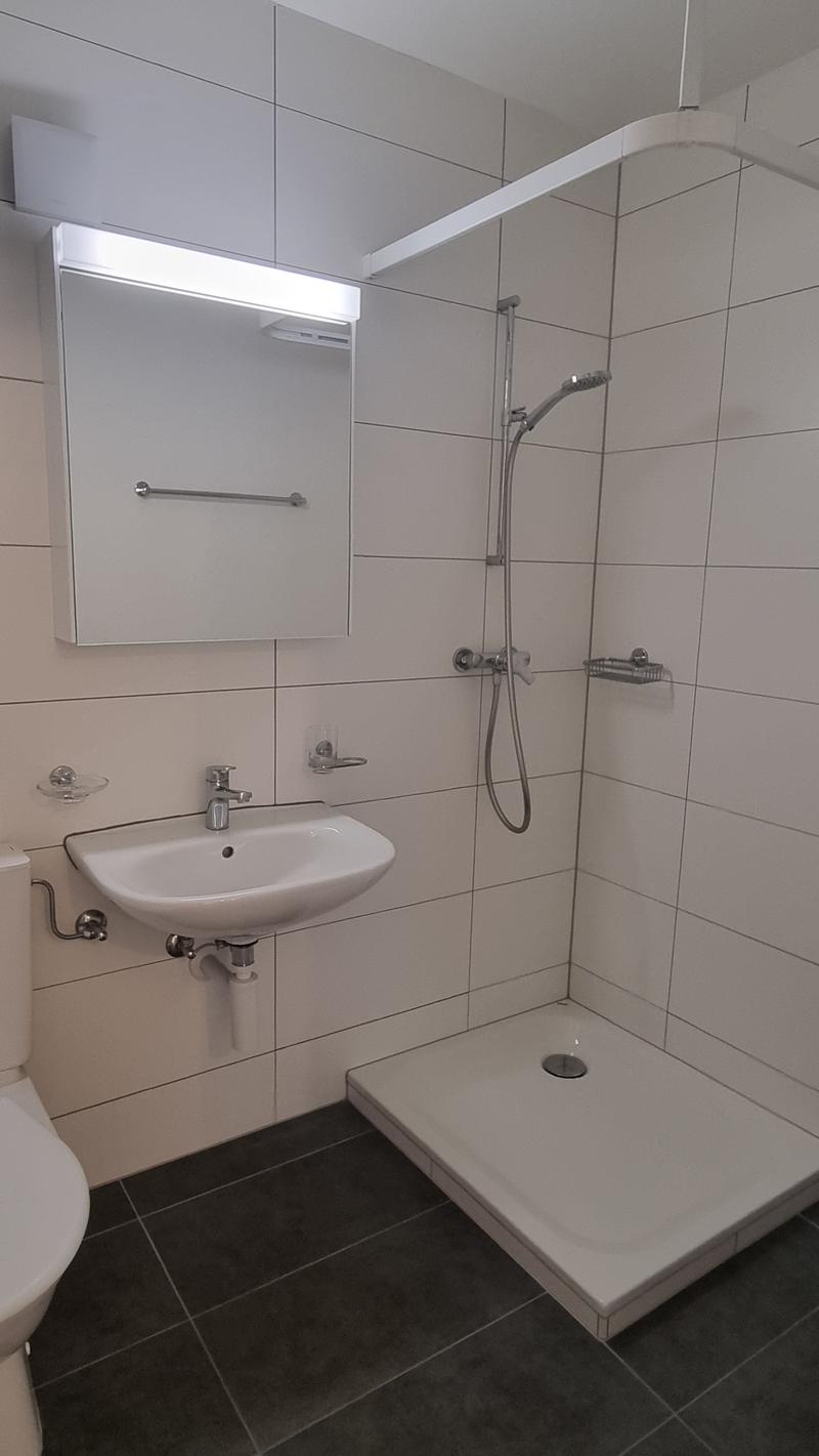 4 pièces lumineux de 100 m² au 3ème étage – rénové avec 2 salles de bains (3)