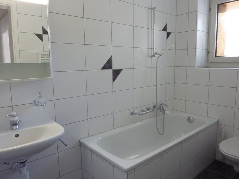 Helle 2.5-Zimmerwohnung mit grossem Balkon und Aussicht in Solothurn (3)