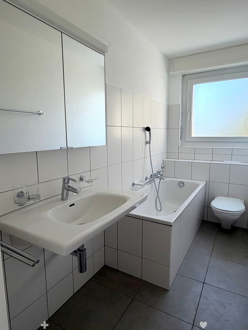 Helle 3-Zimmerwohnung mit Balkon, See- und Alpensicht in Biel (5)