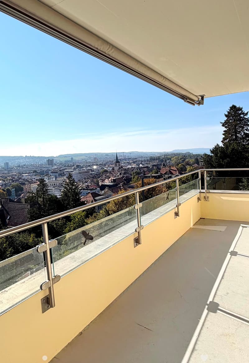 Helle 3-Zimmerwohnung mit Balkon, See- und Alpensicht in Biel (1)
