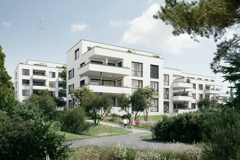 Abitazione moderna in un ambiente verde - primo occupante da aprile 2026 (3)