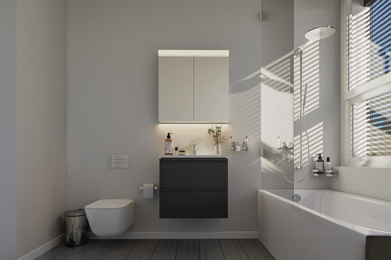 Exklusives Wohnen  2.5-Zimmer-Attikawohnung in 8967 Widen (Berikon) (5)