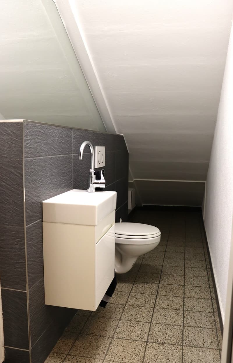 Vielseitiger Gewerberaum / Geschäftsraum ca. 22 m² in Kriens (9)