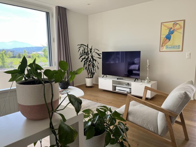 Charmante 2.5-Zimmer-Wohnung mit Stil und Wohlfühlfaktor in Rapperswil-Jona (8)